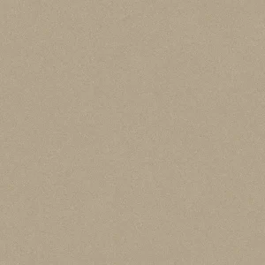 UNI-COLOR-BROWN-RP1041_Full-Slab_Without-Material_800x800-mm_1920x860